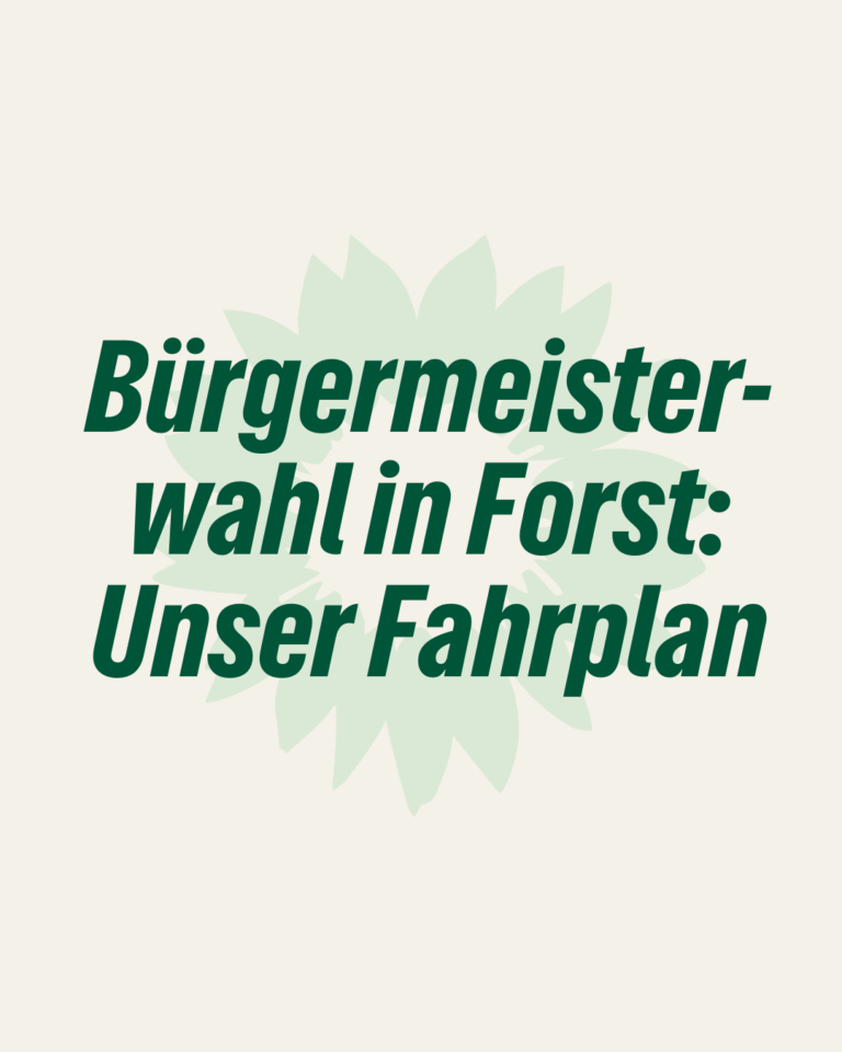 Bürgermeisterwahl in Forst: BÜNDNIS 90/DIE GRÜNEN starten transparenten Auswahlprozess