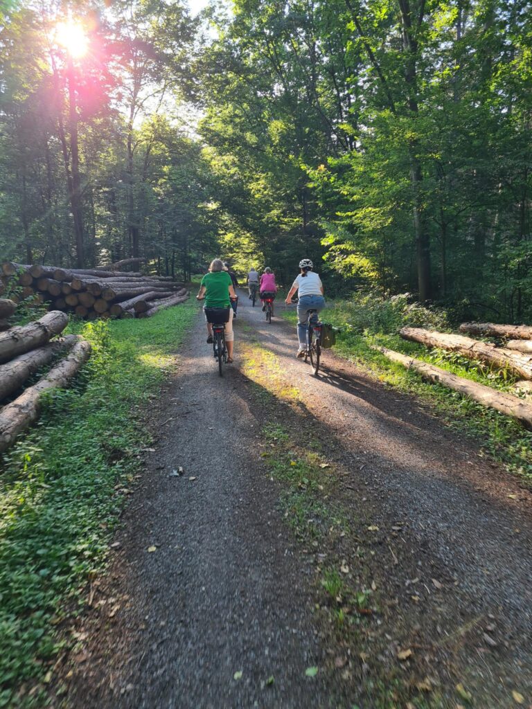 Radtour über Weiher und Hambrücken