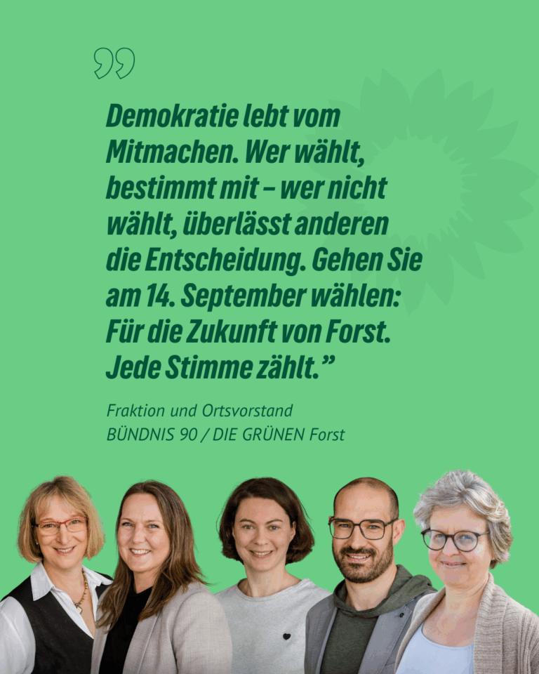 Gehen Sie zur Wahl